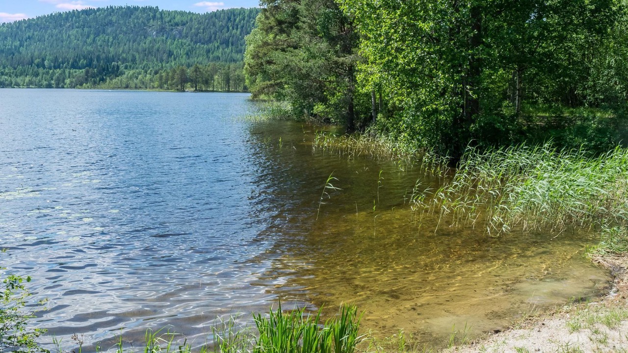 Photo of Others in Koli National Park