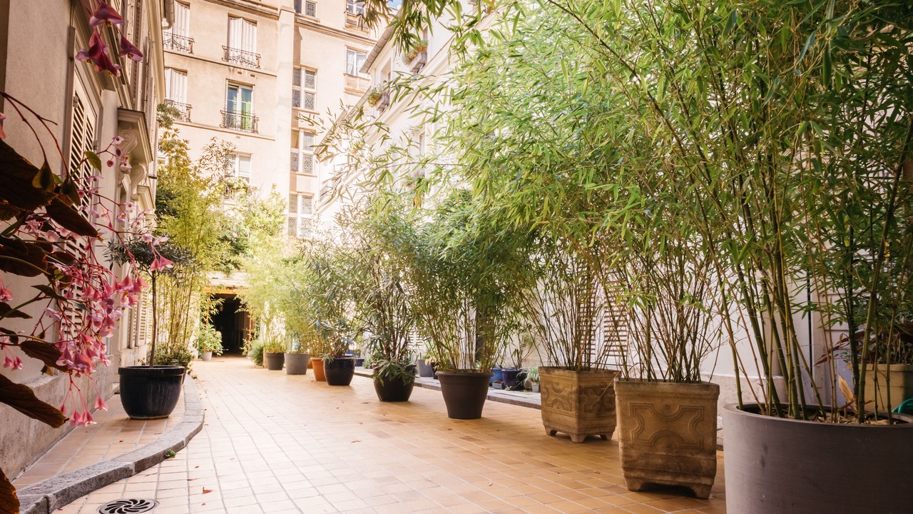 Photo of Outdoor in 8th Arrondissement