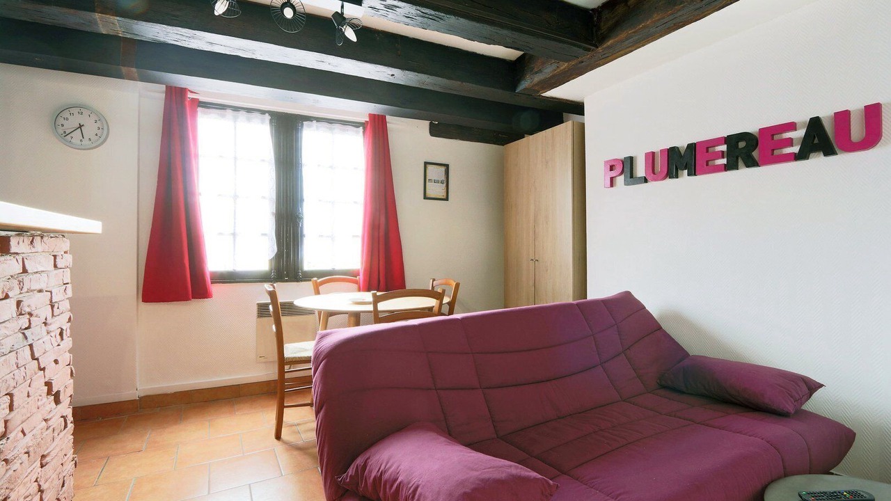 Photo of Livingroom in Tours City Centre