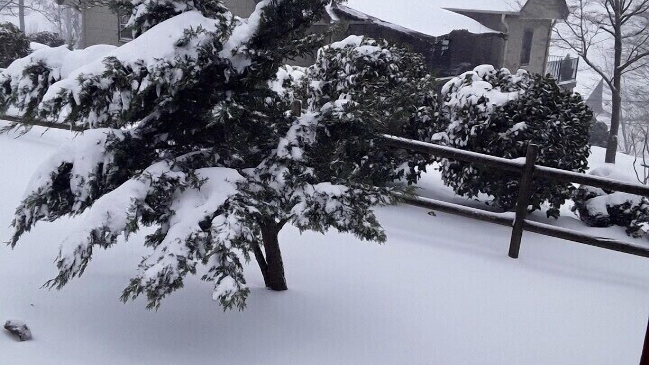 Photo of Others in Lake Lure