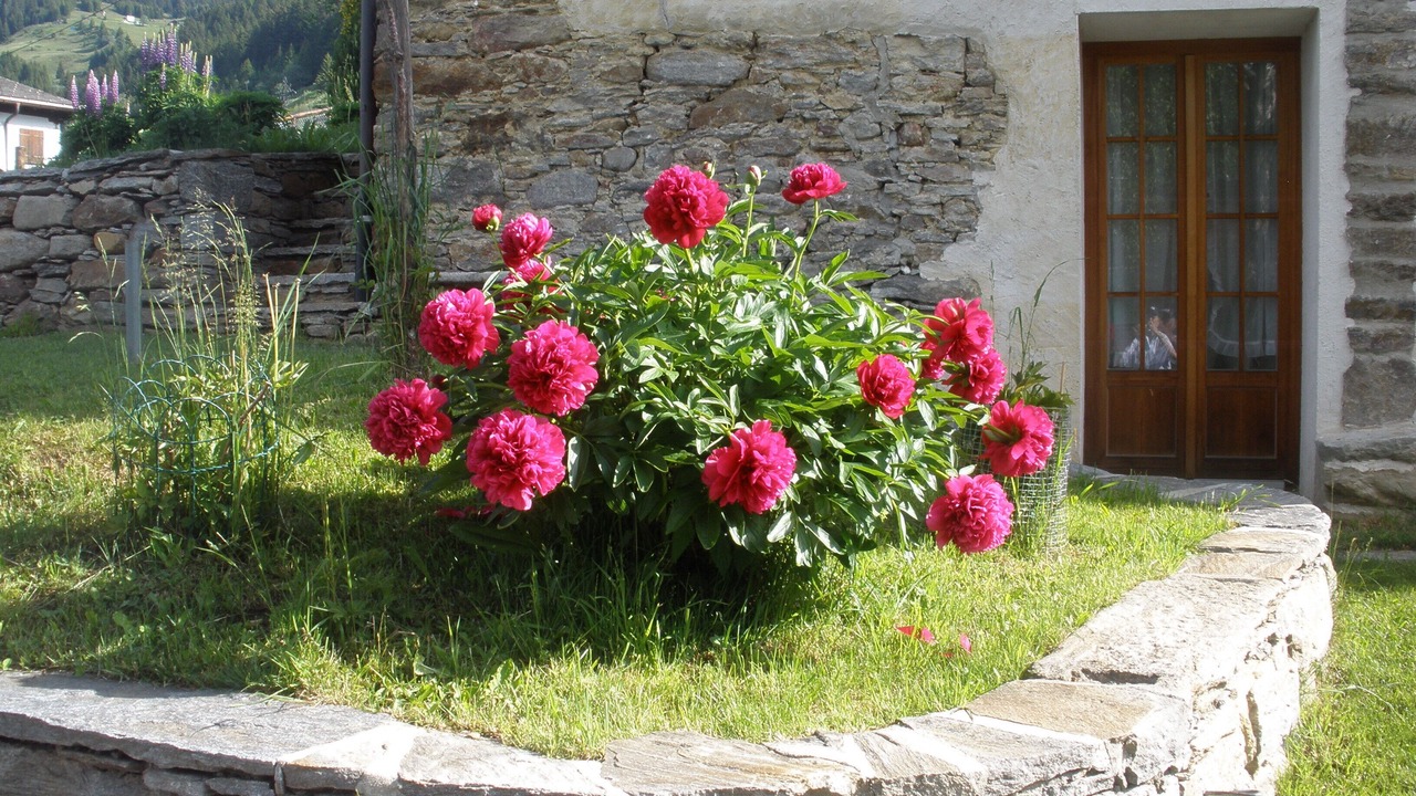 Photo of Outdoor in Faido