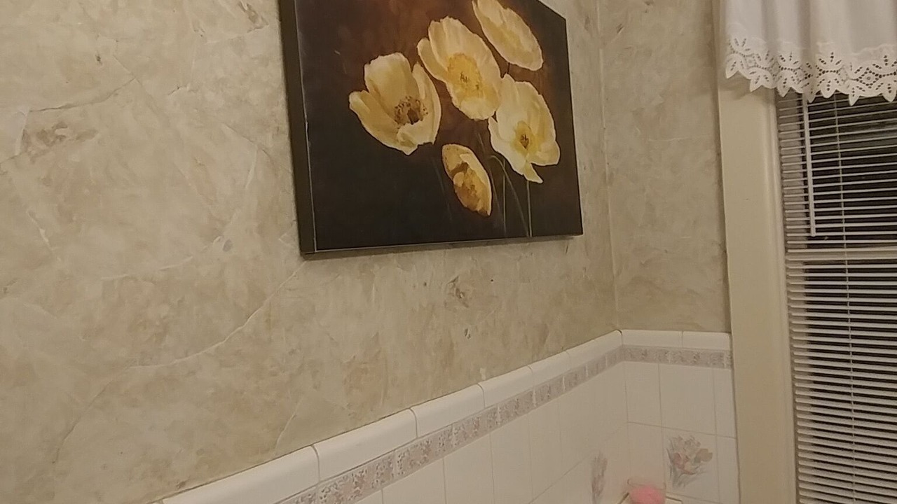 Photo of Bathroom in Mount Clemens