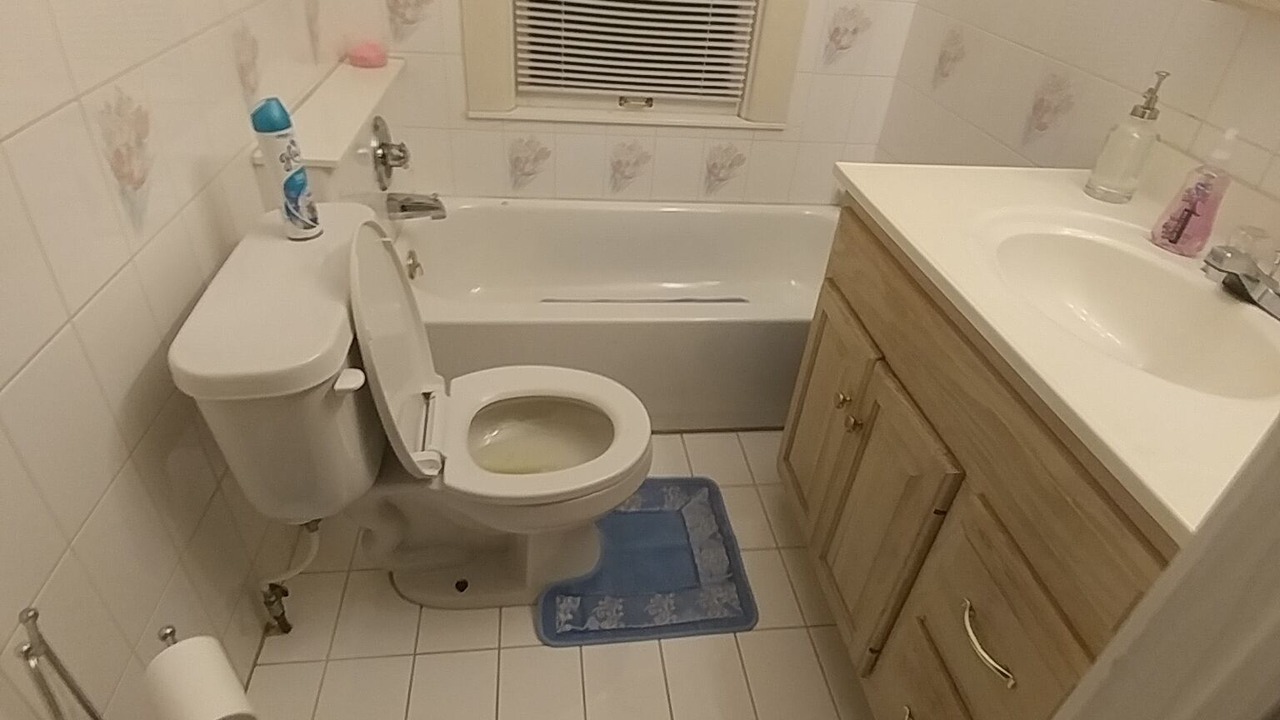 Photo of Bathroom in Mount Clemens