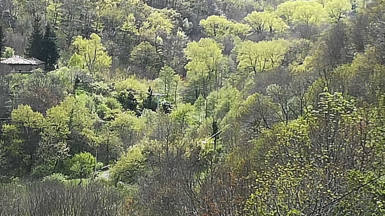 Photo of Others in Burzet