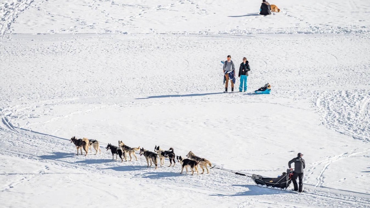 Photo of Others in Tignes le Lac
