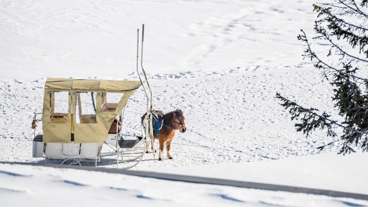 Photo of Others in Tignes le Lac