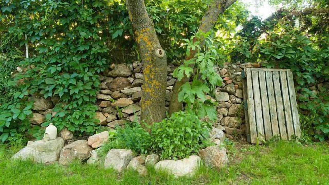 Photo of Outdoor in Cabanillas del Monte