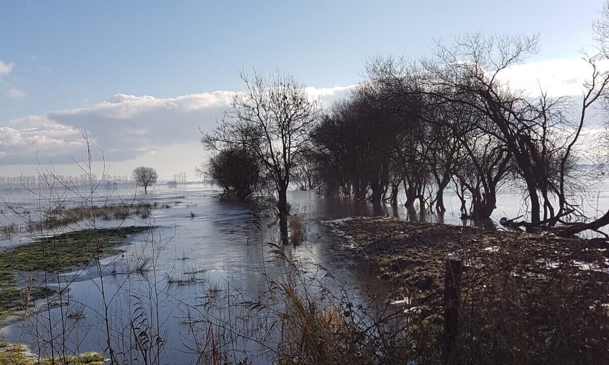 Photo of Outdoor in Carentan