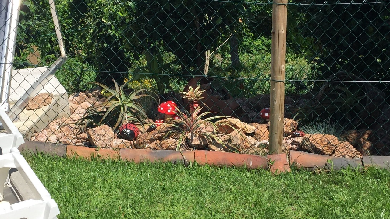 Photo of Outdoor in Cova