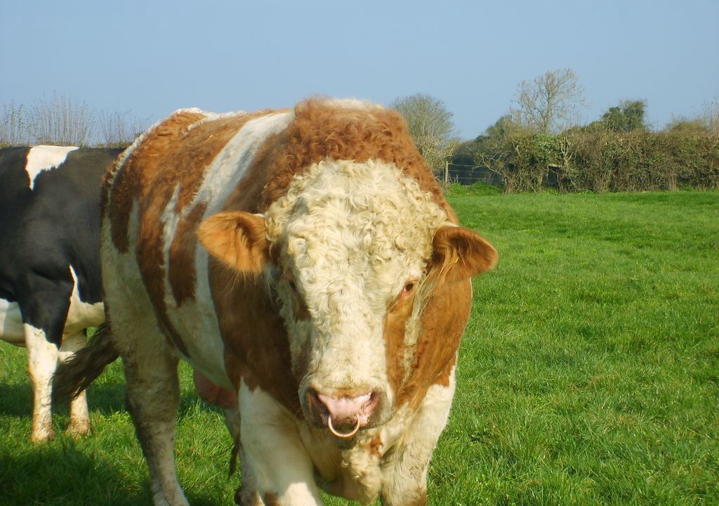 Photo of Outdoor in West Stour