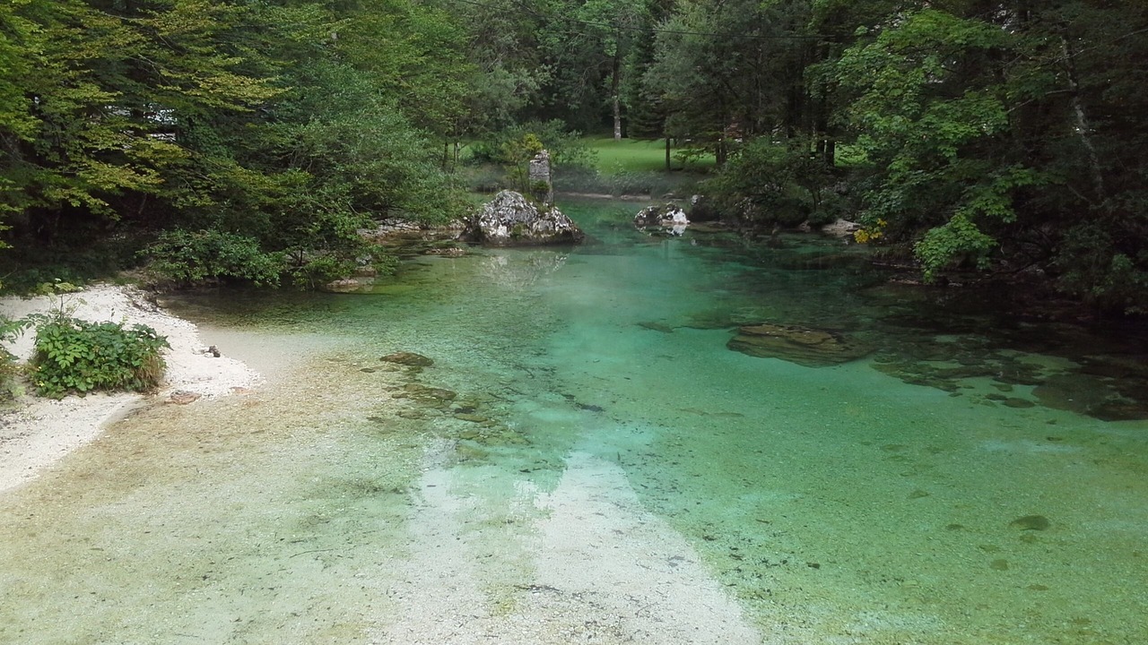 Photo of Others in Bohinjska Bela