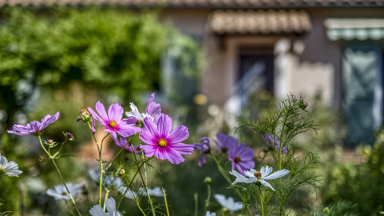 Photo of Outdoor in Albieres