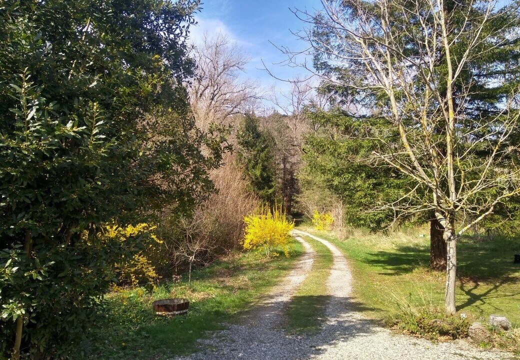 Photo of Outdoor in Albieres