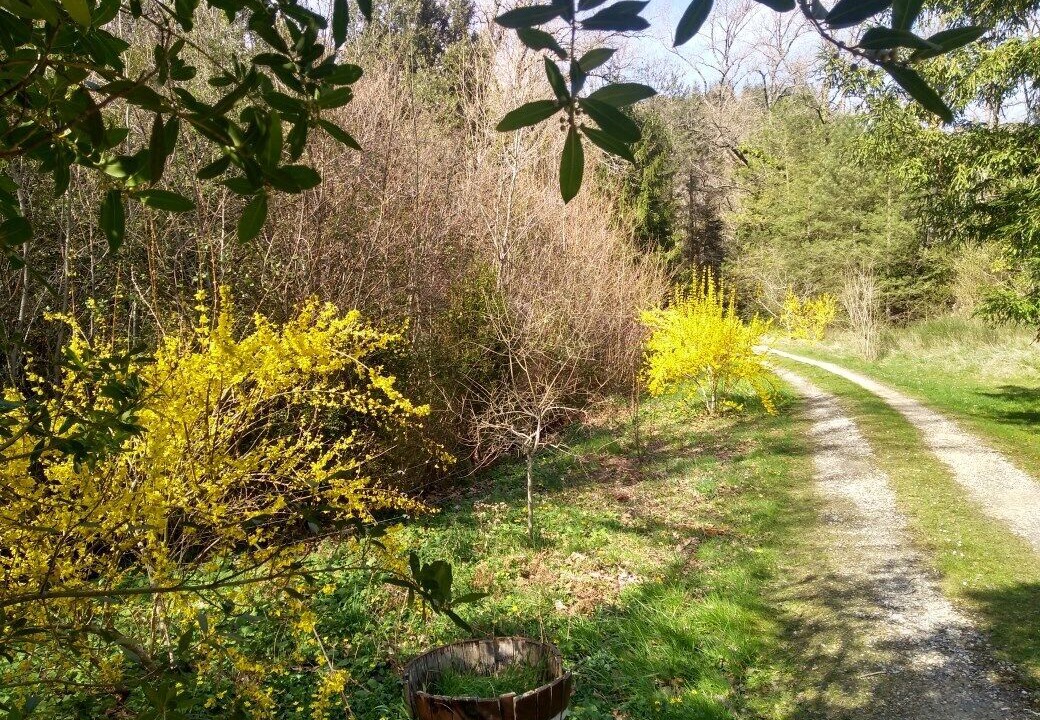 Photo of Outdoor in Albieres