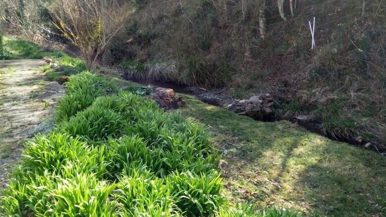 Photo of Outdoor in Albieres