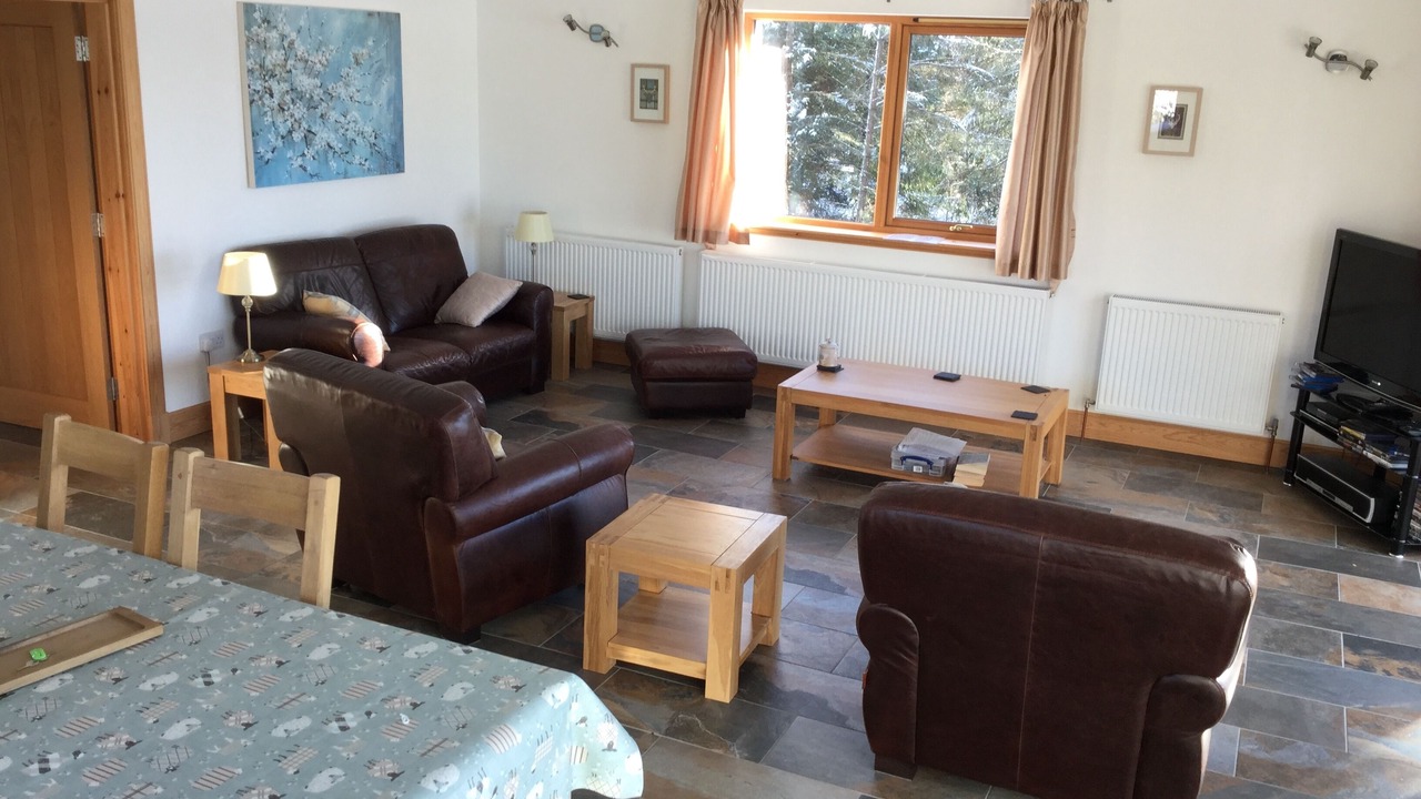 Photo of Livingroom in Lewiston