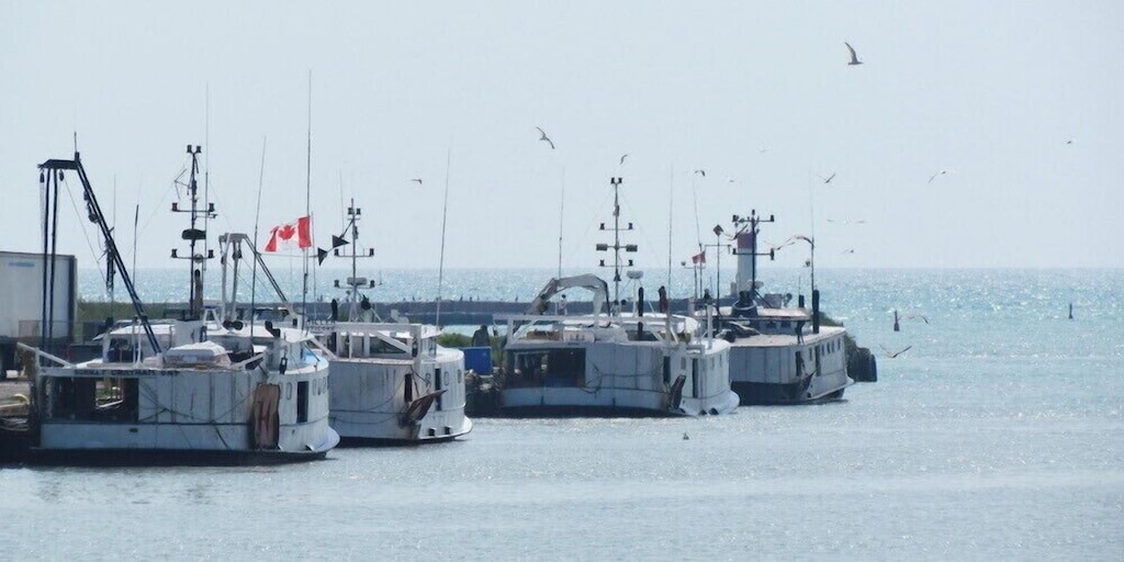 Photo of Others in Port Stanley