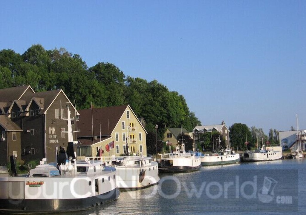 Photo of Others in Port Stanley