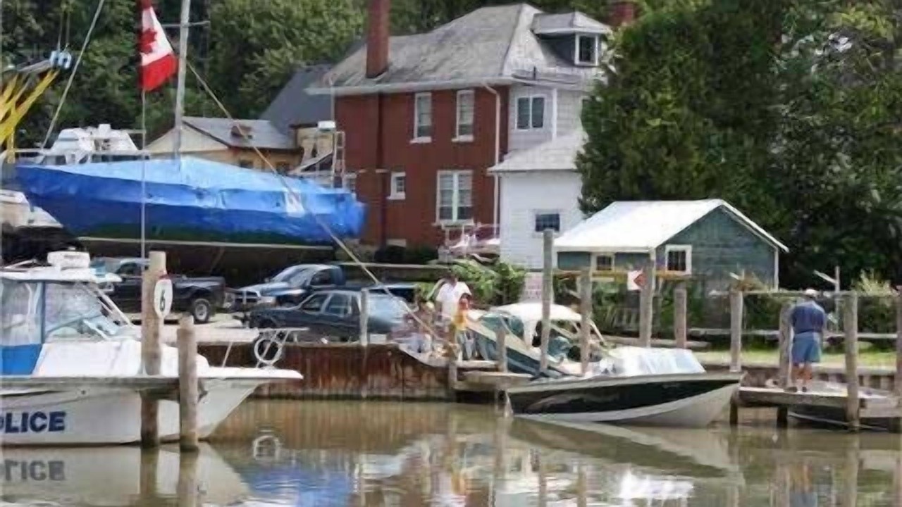 Photo of Others in Port Stanley