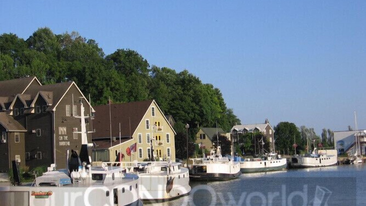 Photo of Others in Port Stanley
