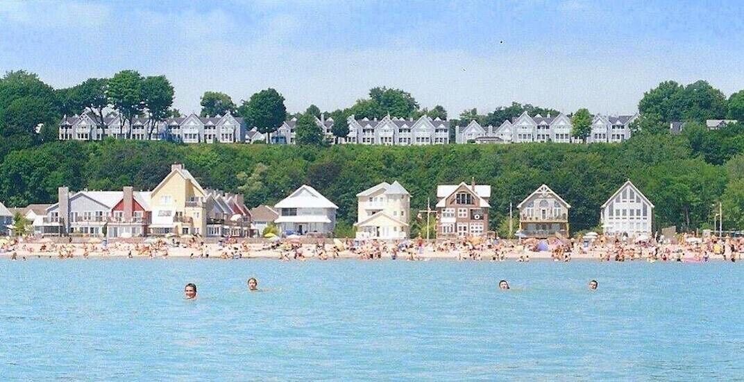 Photo of Others in Port Stanley