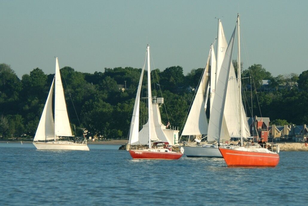 Photo of Others in Port Stanley