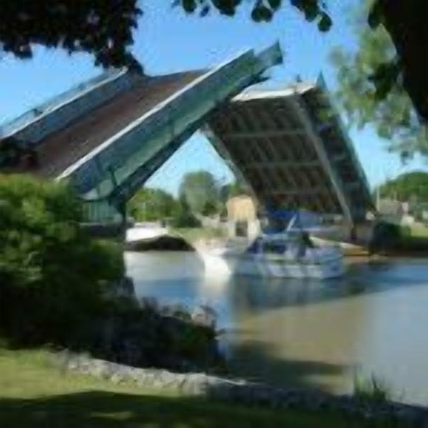 Photo of Others in Port Stanley
