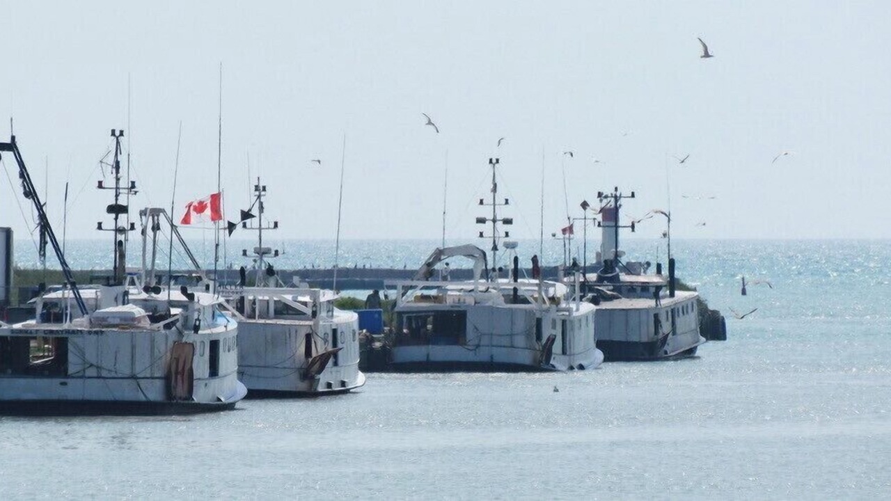 Photo of Outdoor in Port Stanley