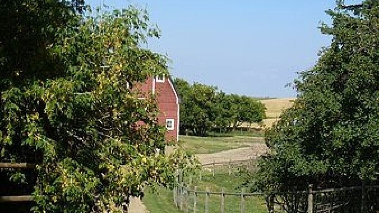 Photo of Outdoor in Division No. 7