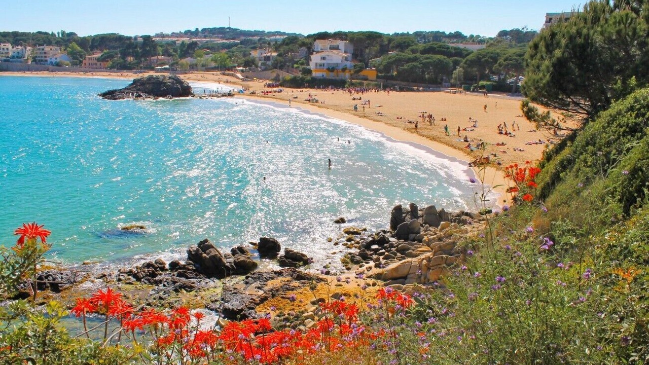 Photo of Others in Palamos