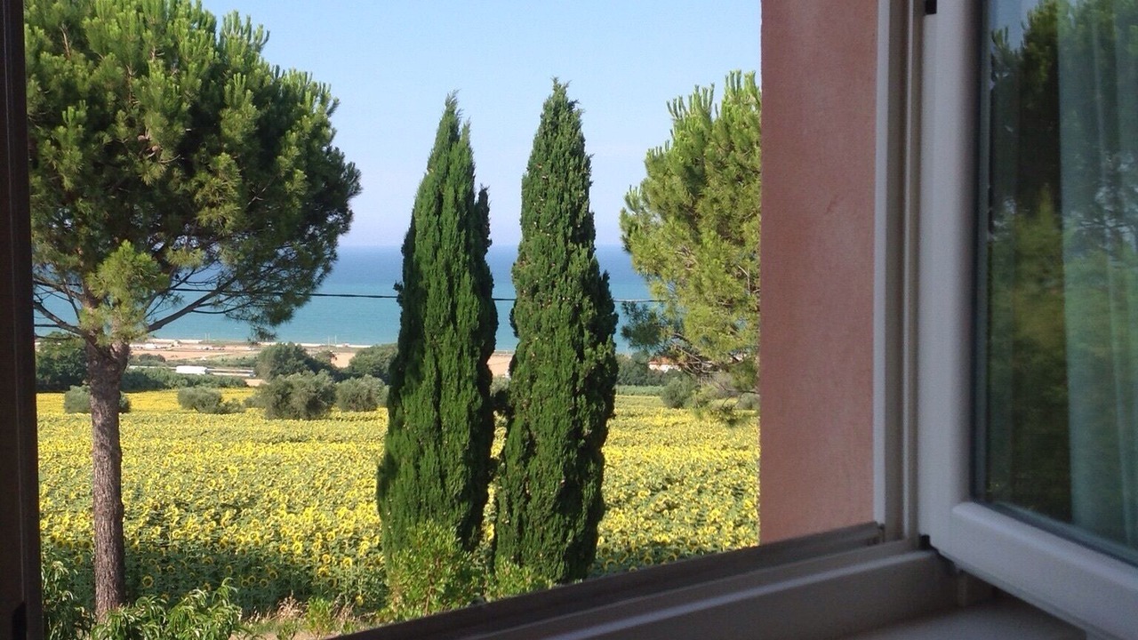 Photo of Others in Civitanova Marche