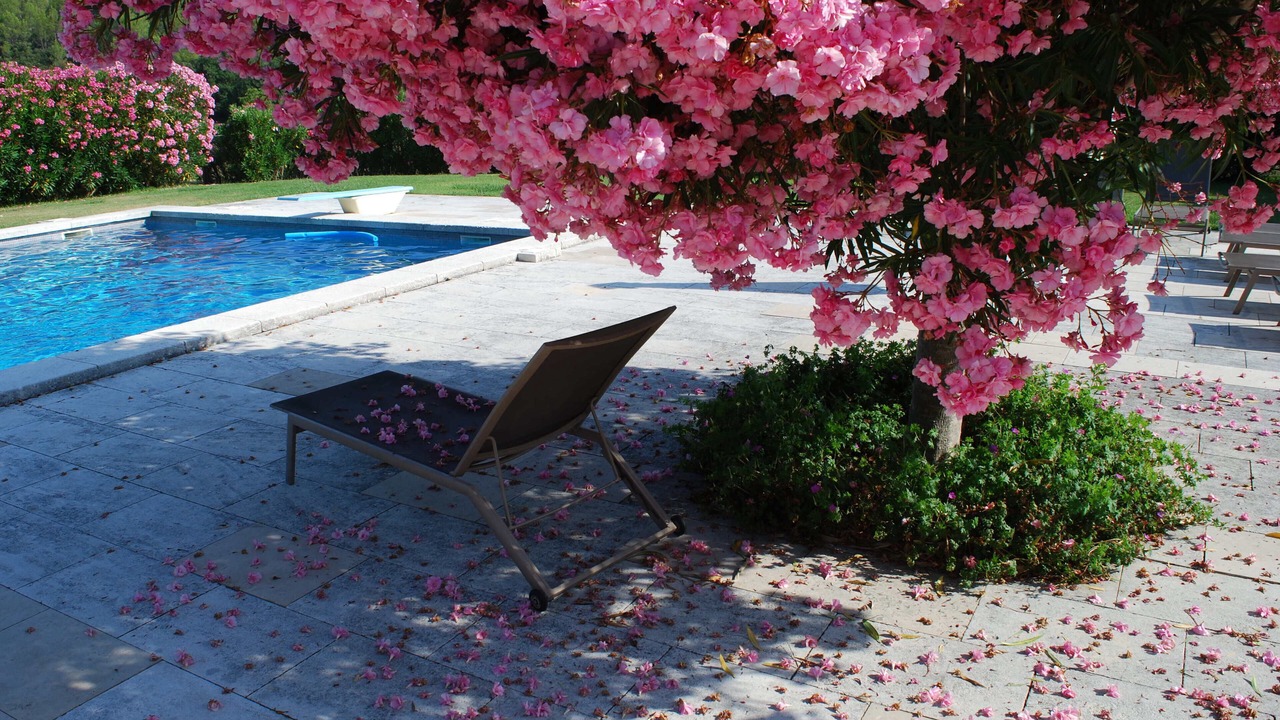 Photo of Outdoor in Lorgues