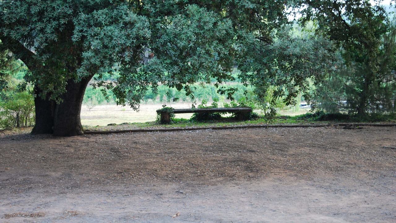 Photo of Outdoor in Lorgues