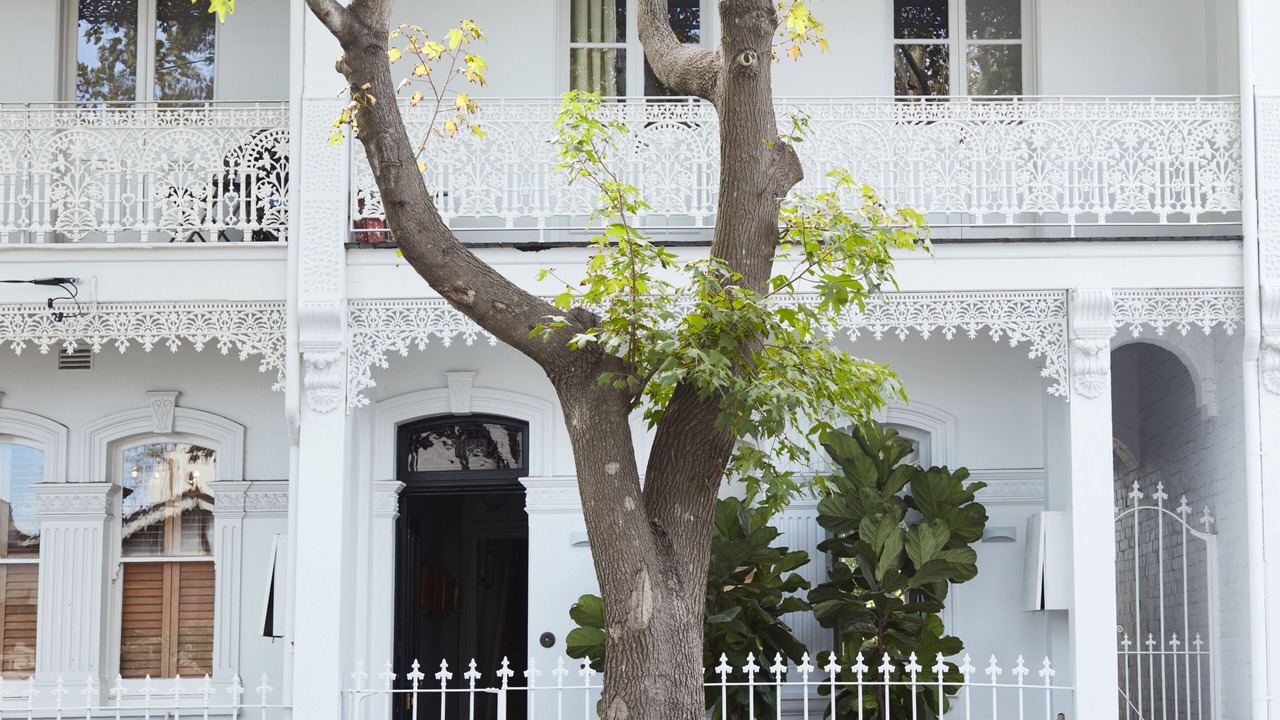 Photo of Outdoor in Woollahra