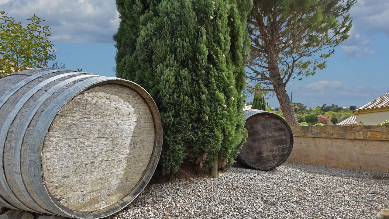Photo of Outdoor in Montbrun-des-Corbieres