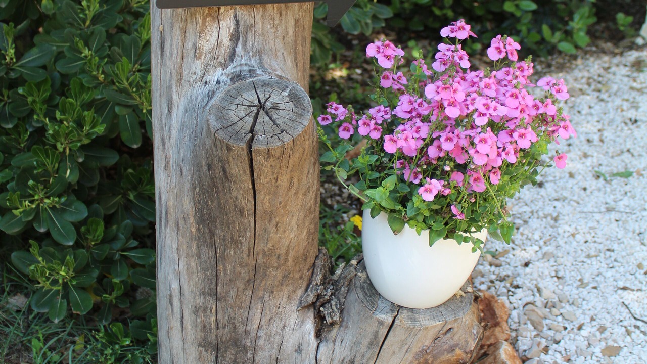 Photo of Outdoor in Saint-Maximin-la-Sainte-Baume