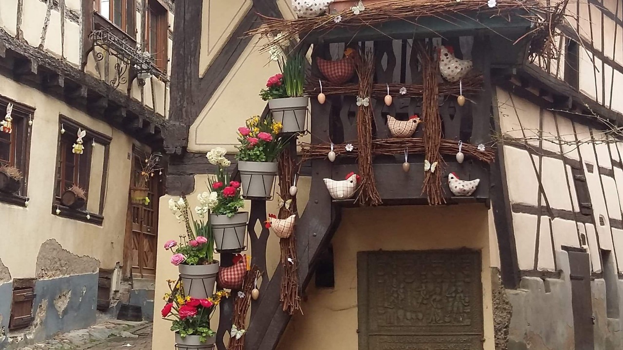 Photo of Outdoor in Eguisheim