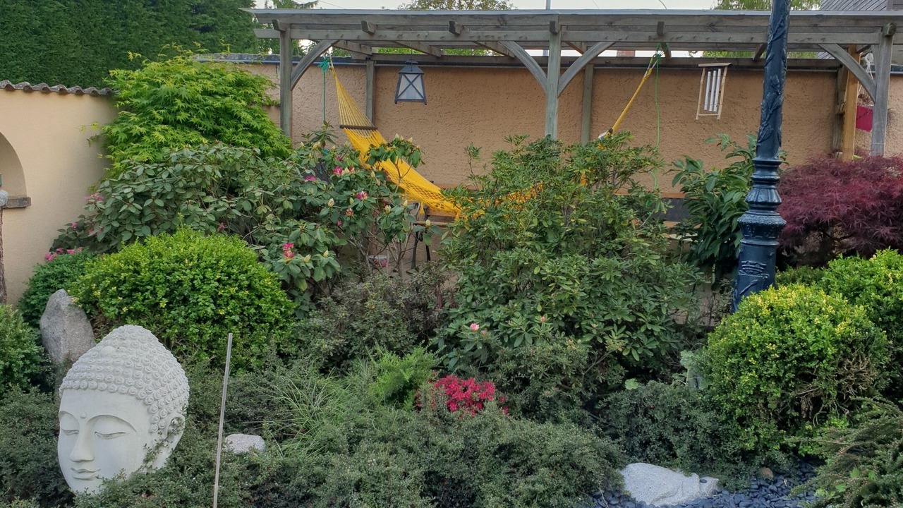 Photo of Outdoor in Eguisheim