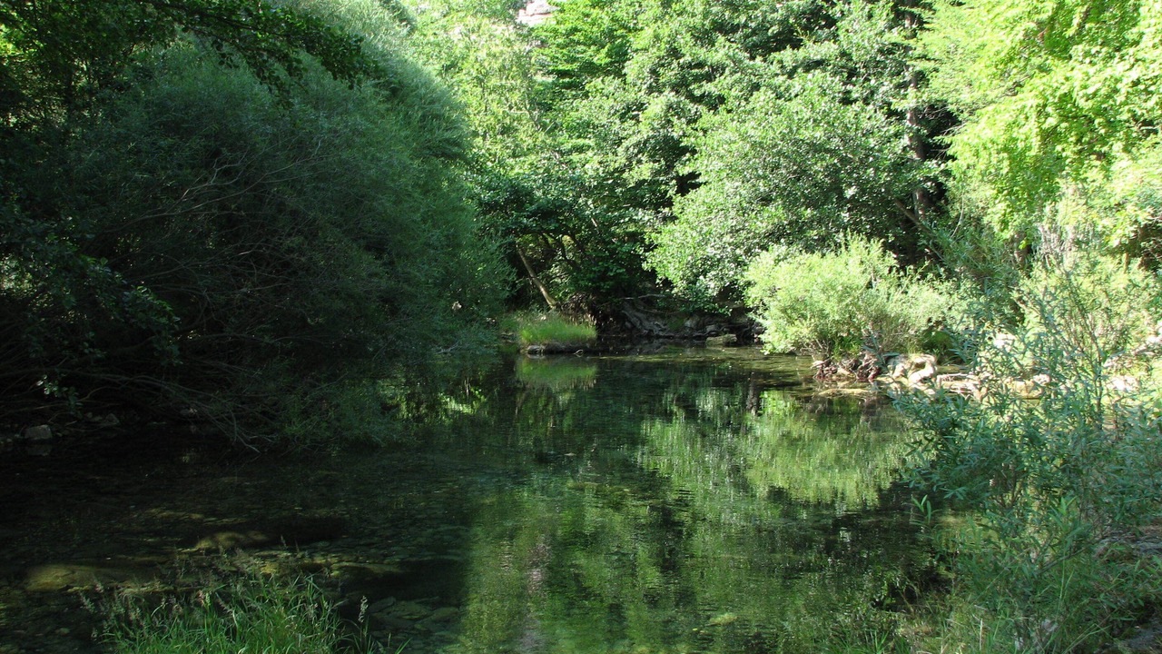 Photo of Outdoor in Blandas