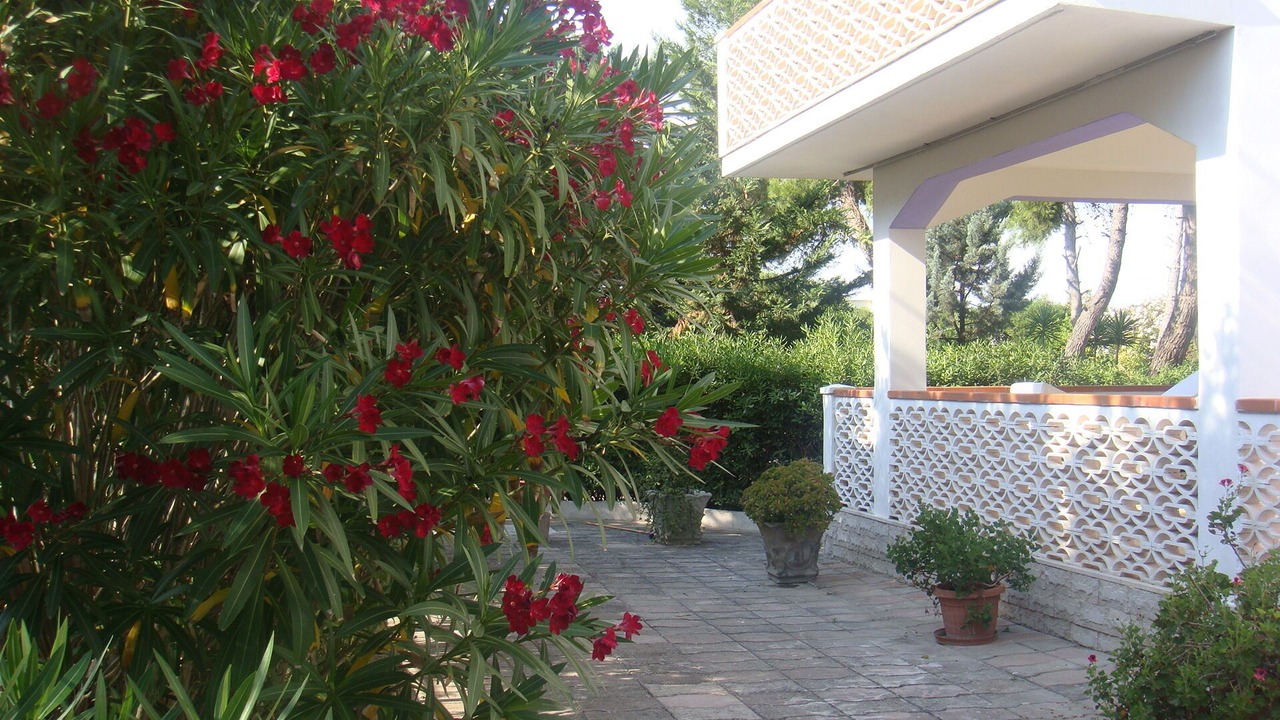 Photo of Outdoor in Taranto