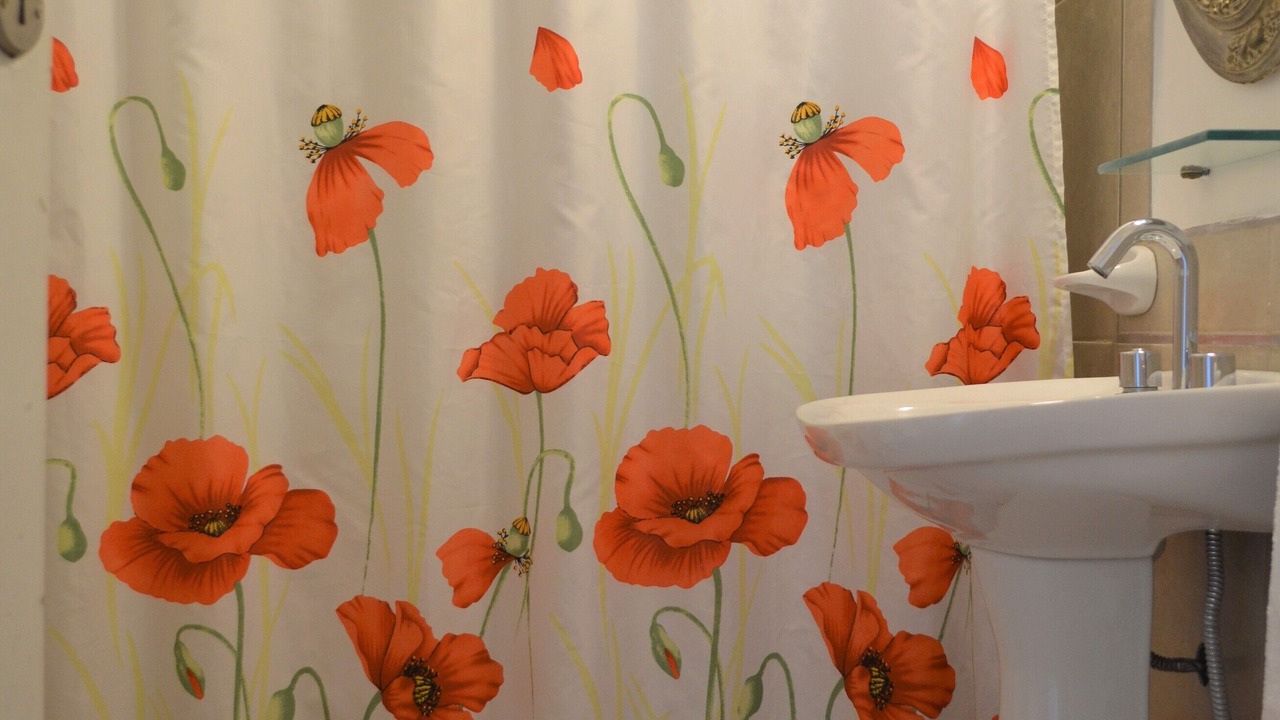 Photo of Bathroom in Historic Center