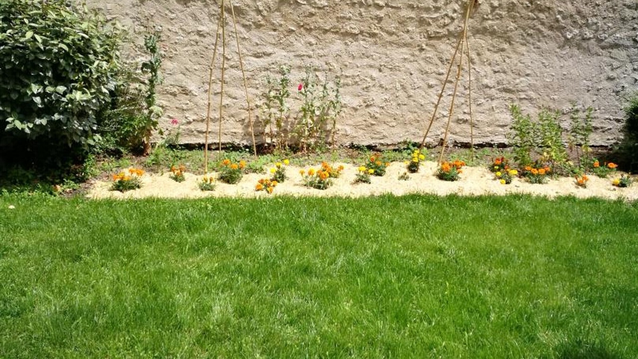 Photo of Outdoor in Billy