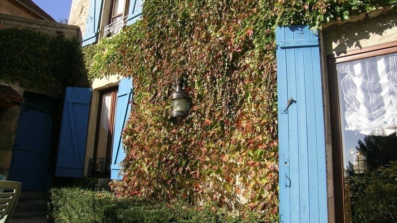 Photo of Outdoor in Billy
