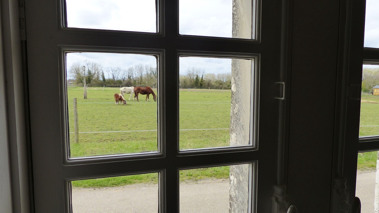 Photo of Others in Huisseau-sur-Cosson