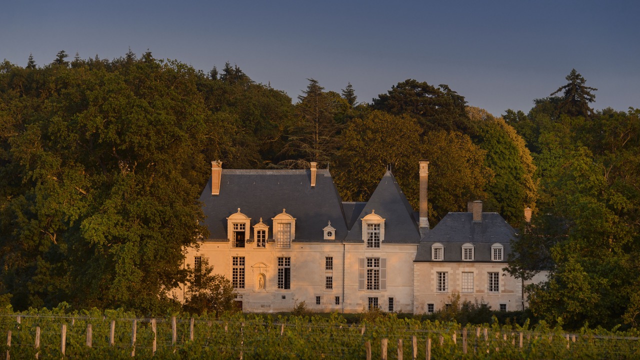 Photo of Outdoor in Huisseau-sur-Cosson