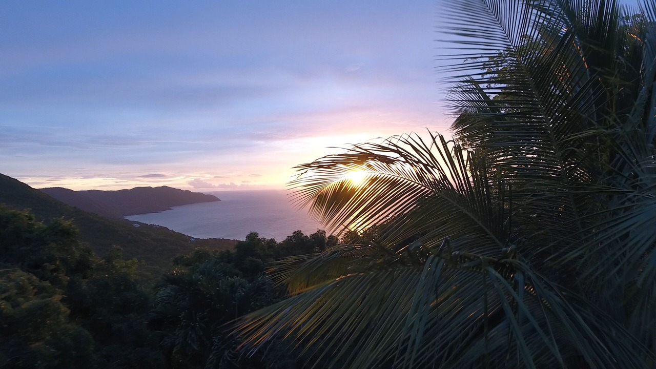 Photo of Outdoor in Estate Belvedere