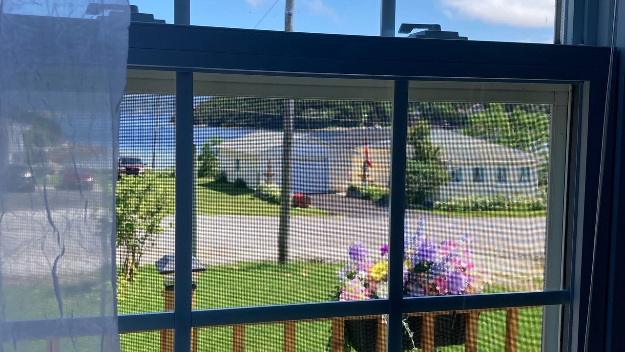 Photo of Others in Norris Point