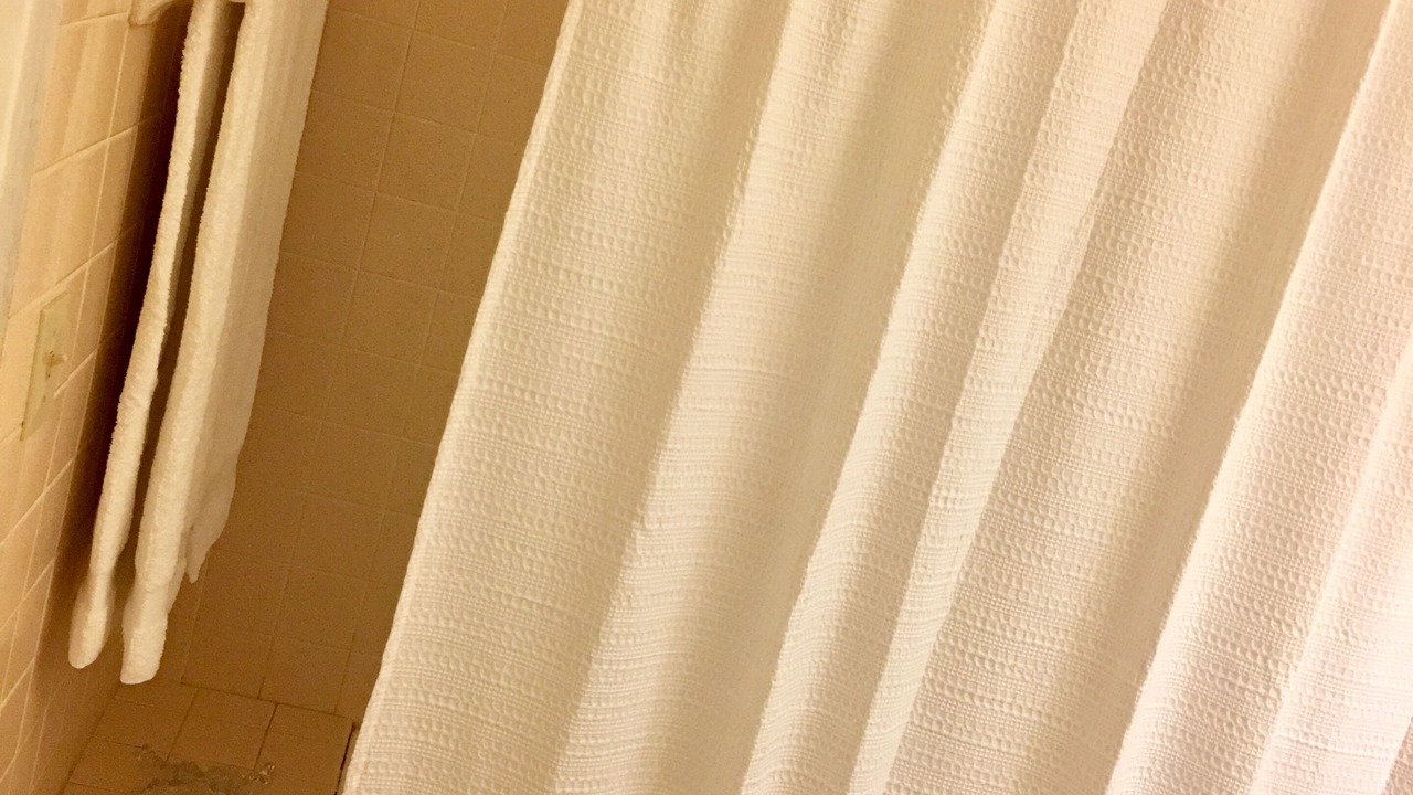 Photo of Bathroom in Carlton