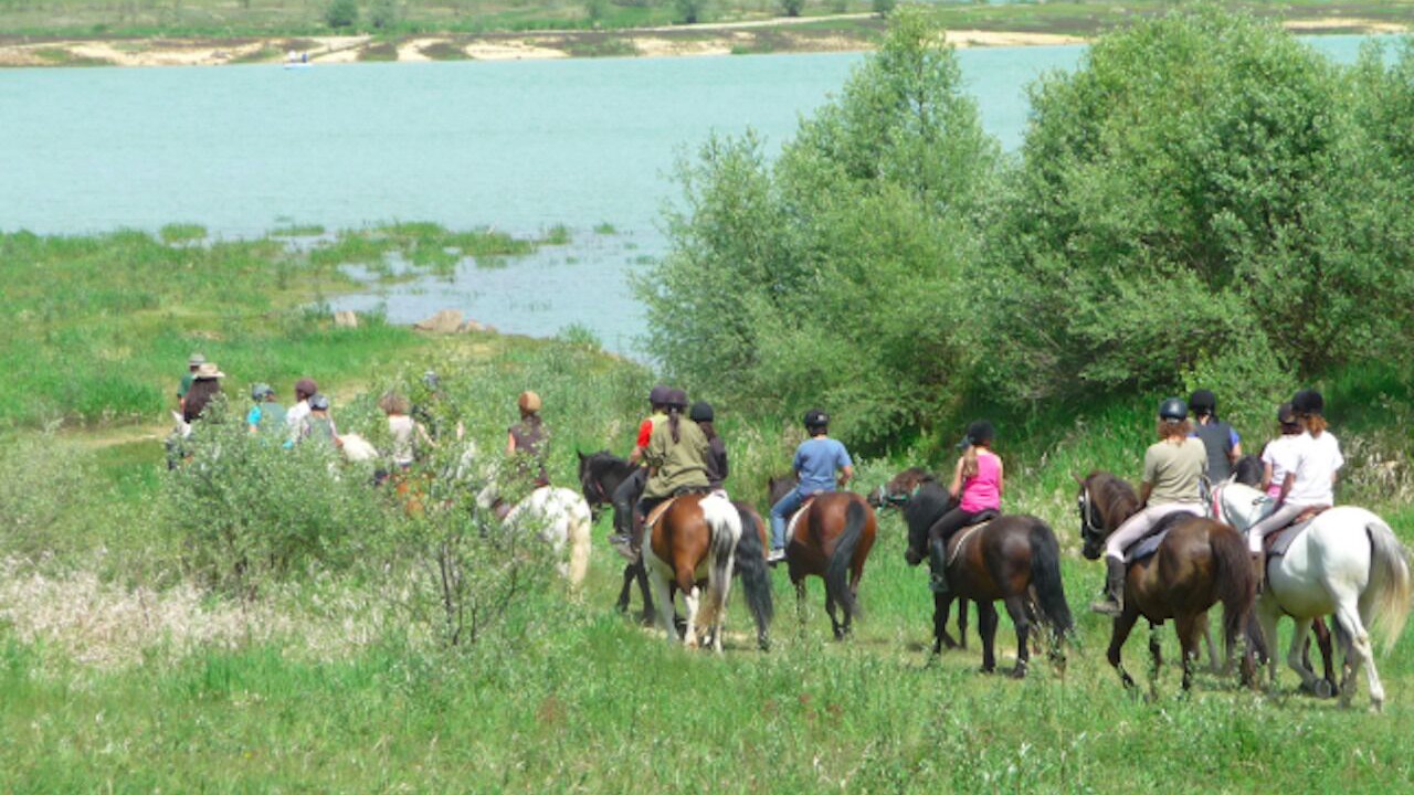 Photo of Outdoor in Treziers