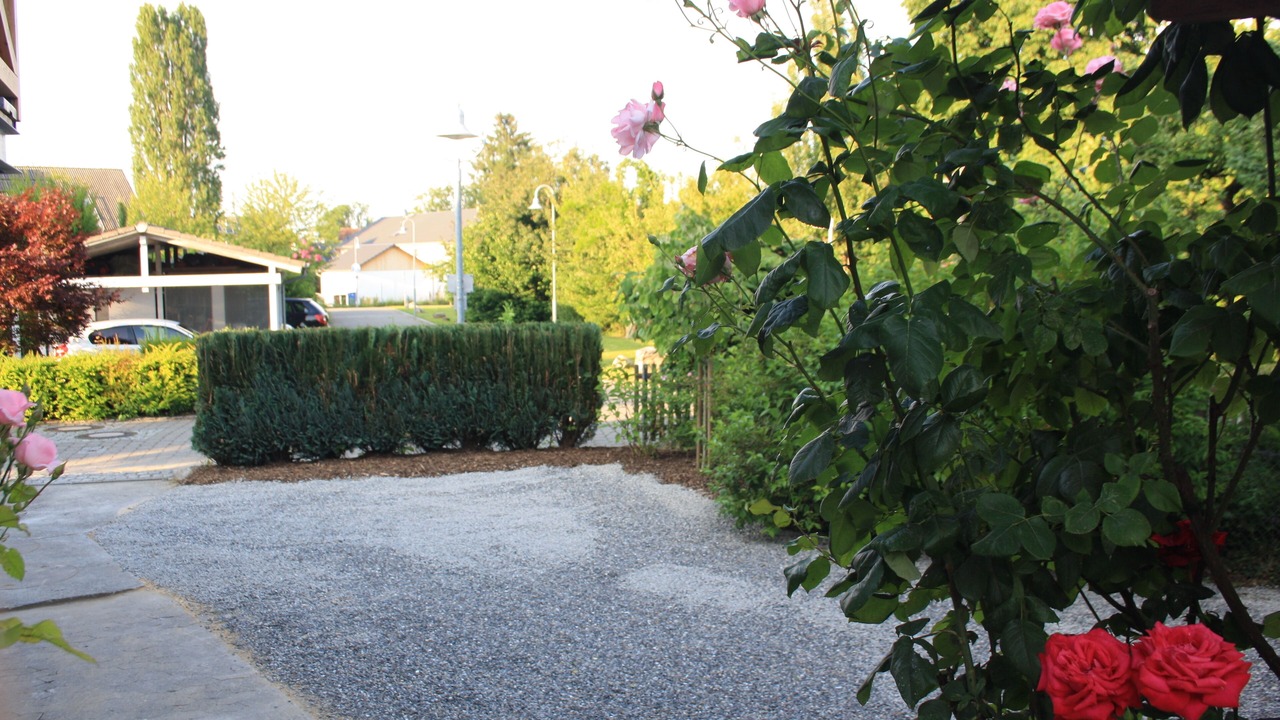 Photo of Outdoor in Egg